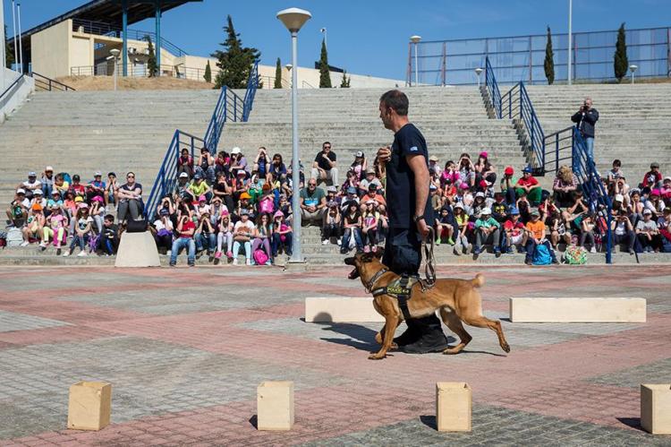 ΕΠΙΣΚΕΨΗ ΜΑΘΗΤΩΝ ΣΤΙΣ ΕΓΚΑΤΑΣΤΑΣΕΙΣ ΤΗΣ ΔΙΕΥΘΥΝΣΗΣ ΕΙΔΙΚΩΝ ΑΣΤΥΝΟΜΙΚΩΝ ΔΥΝΑΜΕΩΝ