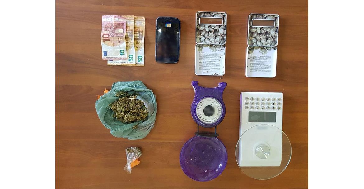 ΣΥΝΕΛΗΦΘΗ 58ΧΡΟΝΟΣ ΣΕ ΠΕΡΙΟΧΗ ΤΩΝ ΓΡΕΒΕΝΩΝ ΓΙΑ ΚΑΛΛΙΕΡΓΕΙΑ -192- ΔΕΝΔΡΥΛΛΙΩΝ ΚΑΝΝΑΒΗΣ ΣΕ ΕΡΓΑΣΤΗΡΙΟ ΥΔΡΟΠΟΝΙΚΗΣ ΚΑΛΛΙΕΡΓΕΙΑΣ