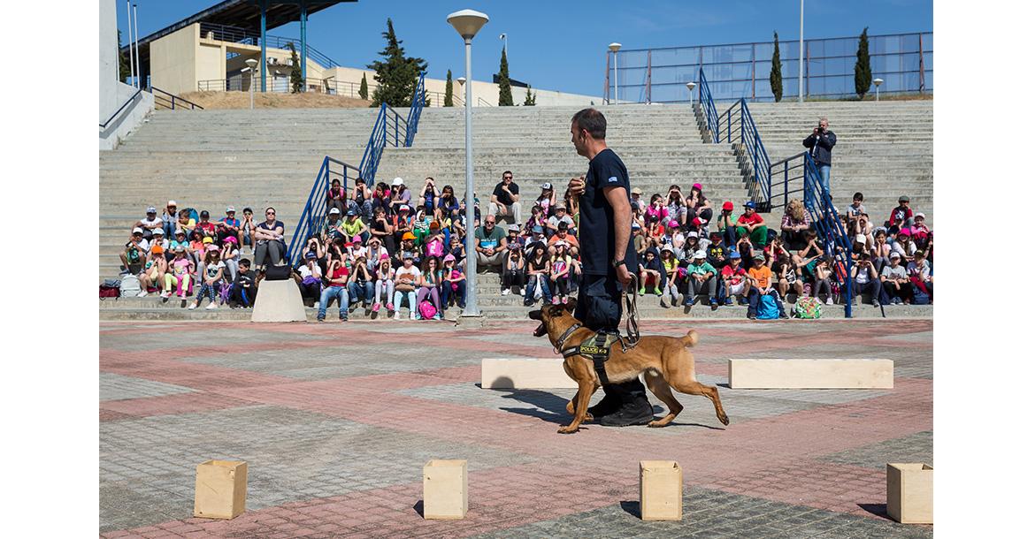 ΕΠΙΣΚΕΨΗ ΜΑΘΗΤΩΝ ΣΤΙΣ ΕΓΚΑΤΑΣΤΑΣΕΙΣ ΤΗΣ ΔΙΕΥΘΥΝΣΗΣ ΕΙΔΙΚΩΝ ΑΣΤΥΝΟΜΙΚΩΝ ΔΥΝΑΜΕΩΝ