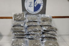ΠΕΡΙΠΟΥ 59 ΚΙΛΑ ΑΚΑΤΕΡΓΑΣΤΗΣ ΚΑΝΝΑΒΗΣ ΥΔΡΟΠΟΝΙΚΗΣ ΚΑΛΛΙΕΡΓΕΙΑΣ (SKUNK) ΕΝΤΟΠΙΣΤΗΚΑΝ ΣΕ ΦΟΡΤΗΓΟ ΣΕ ΠΕΡΙΟΧΗ ΤΗΣ ΘΕΣΠΡΩΤΙΑΣ